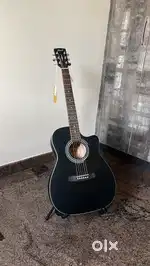 Acoustic Guitar