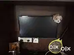 20 inch Haier TV