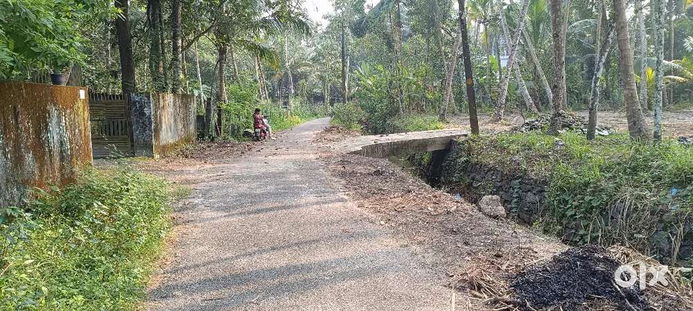 25 cent plote for sale