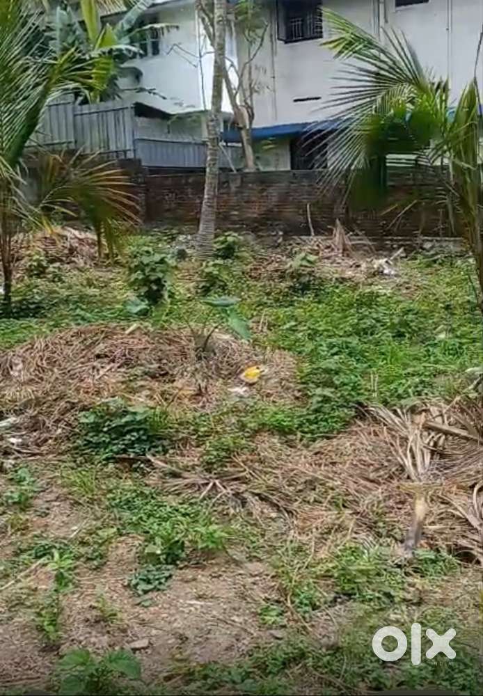 Commercial/Residential Property just about 400  Mtrs from Kariyavattom