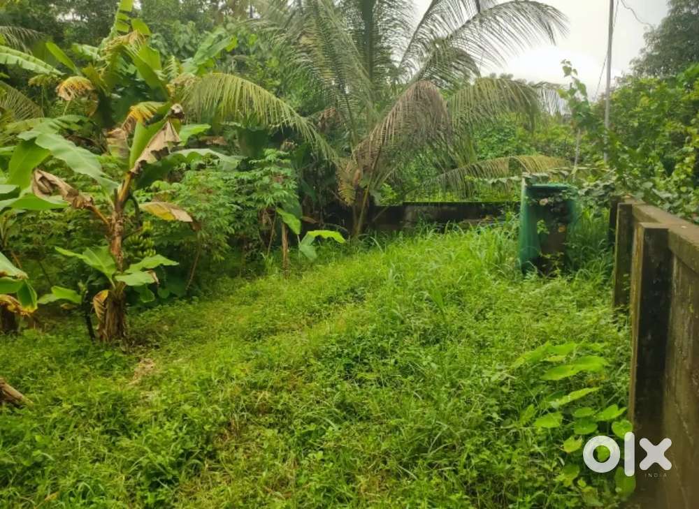 Residential Land for Sale at Naithalakkav, Kuttur, Thrissur