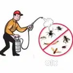 Sriyanka pest control