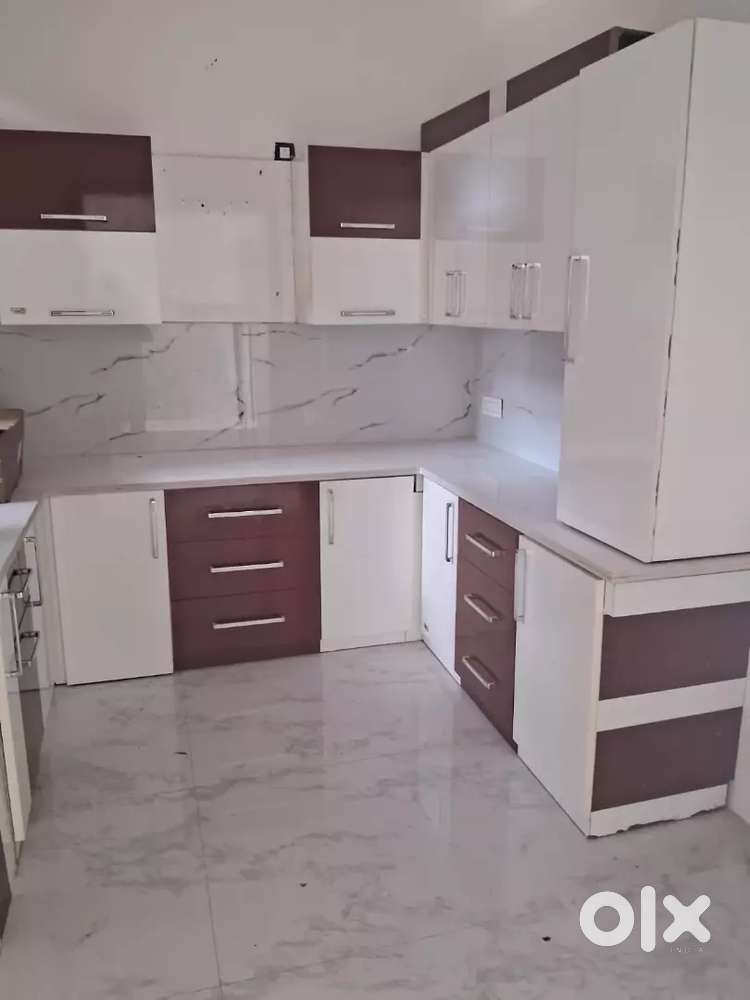 Independent 2bhk house for rent in sec 8 with attached two washroom