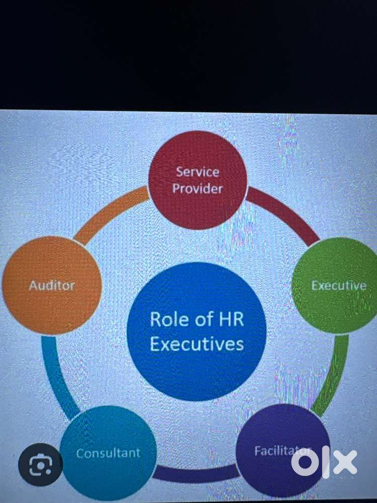 Field Hr executive