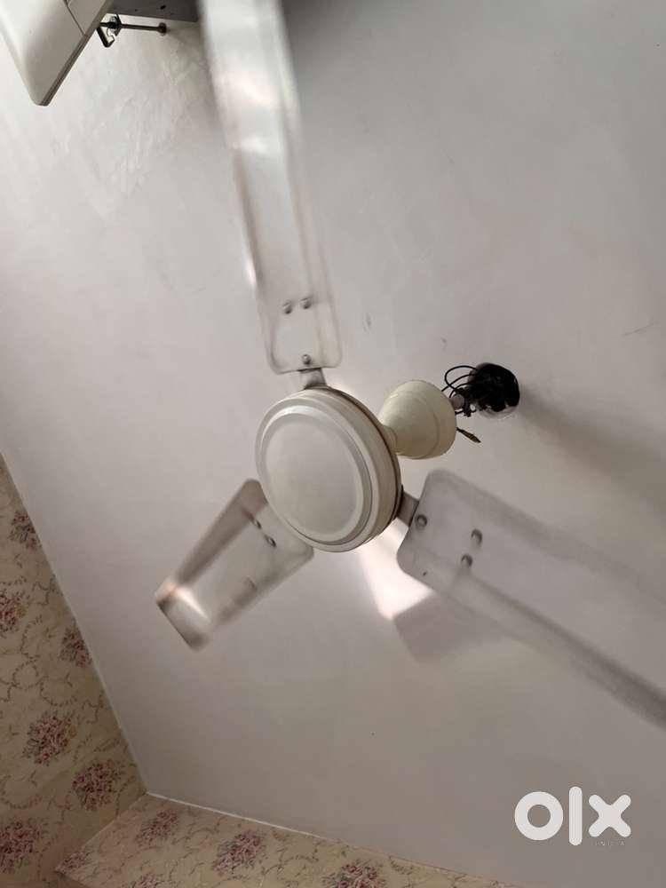 Ceiling fan Havells