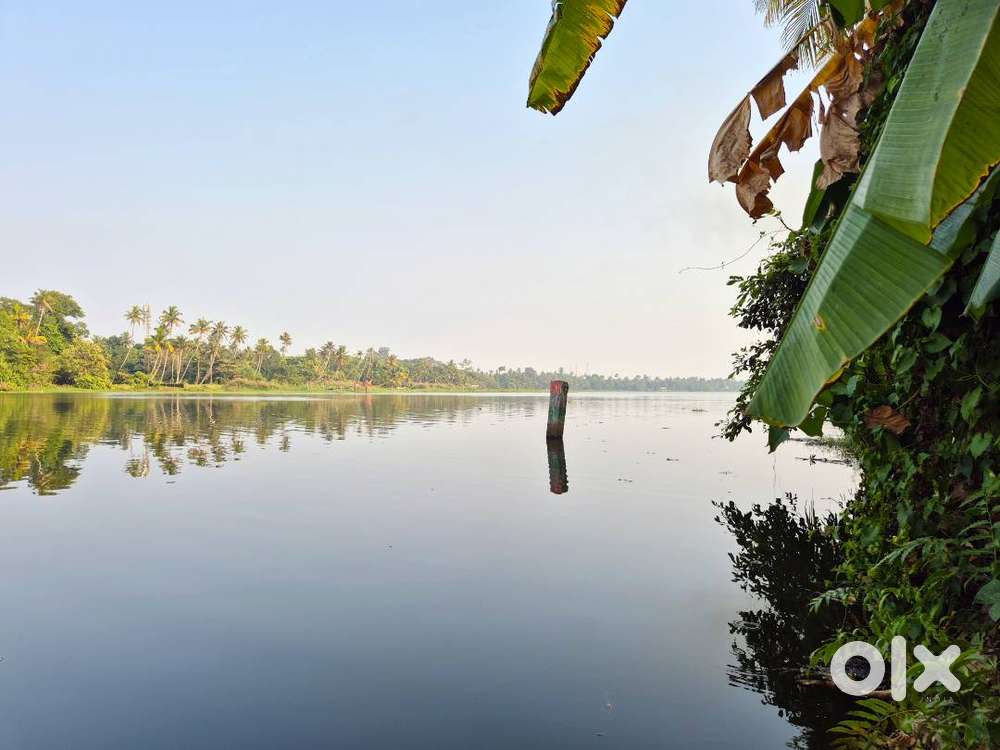 41Cent Waterfront Land with Old House – Varapuzha, Ernakulam