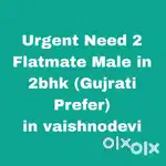 Urgent Need 2 Flatmate Male Job Person (Gujrati)
