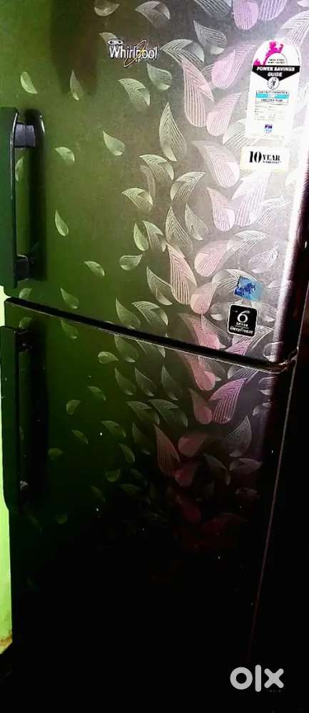 Urgent Sale :《 A decorative pattern of swirling/leaf like shapes》