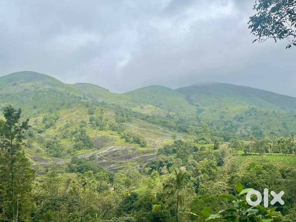 10,20 cent Forest view land near Vagamon