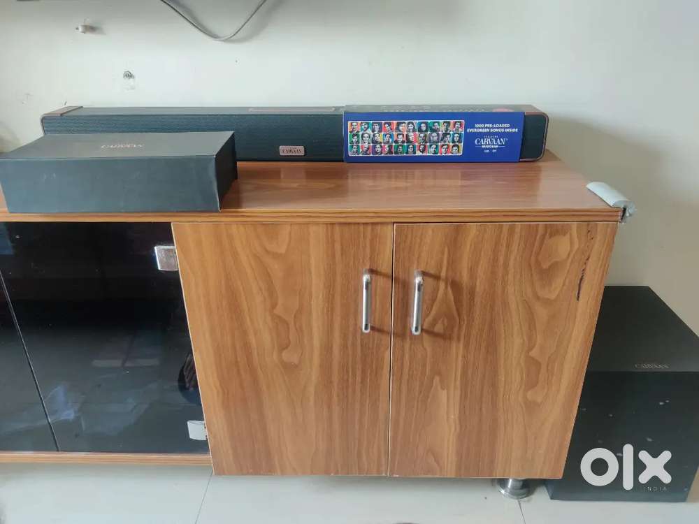 Saregama carvaan with karaoke