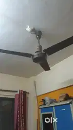 Ceiling fan for sell
