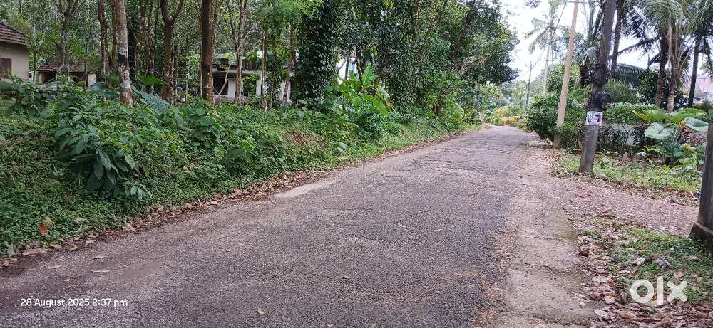 20 സെന്റ് പ്ലോട്ട്
