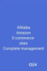 Alibaba Amazon