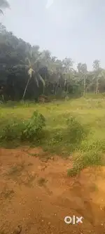 Kateel 12 Cents Land near Durga Parameshwari temple 30 ft Rd  Rs.33Lak