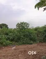 40 Ankanas Land for rent