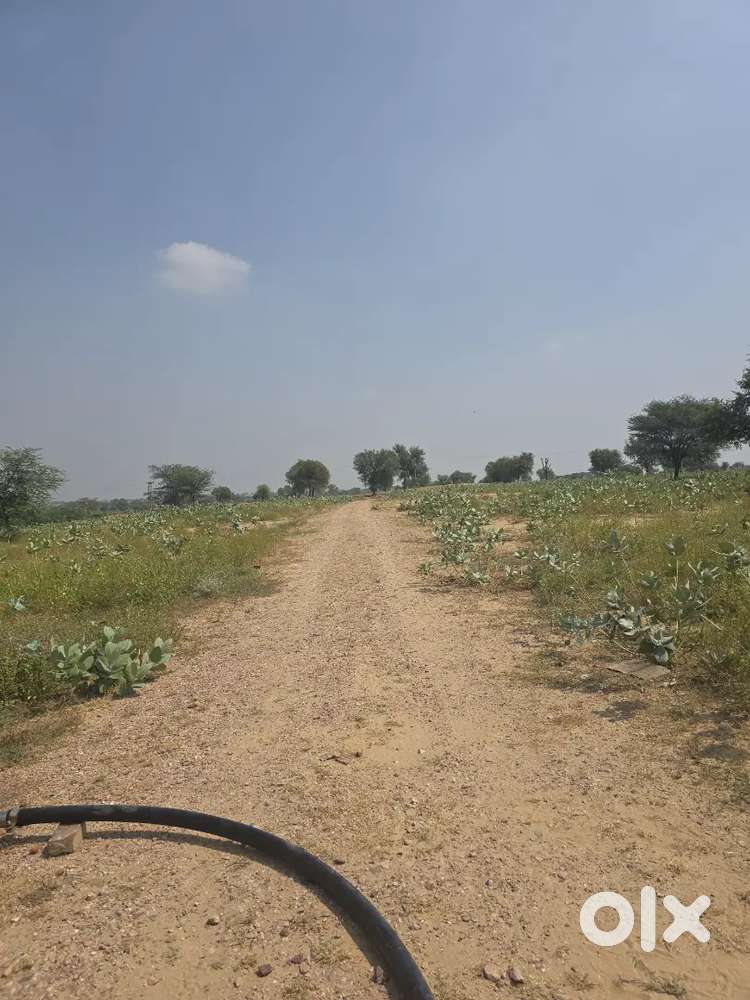 150 Gaj plot for sale