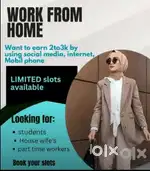 Online work opportunity// Work From Home// part time or full time