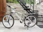 Disk break