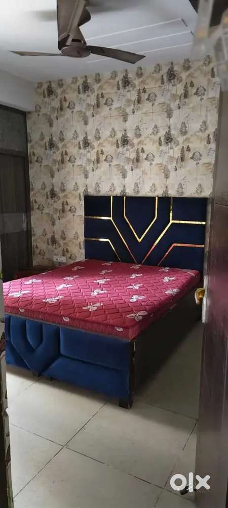 Family 2 BHK kitchen 2 bath furnished sector 43 Chandigarh