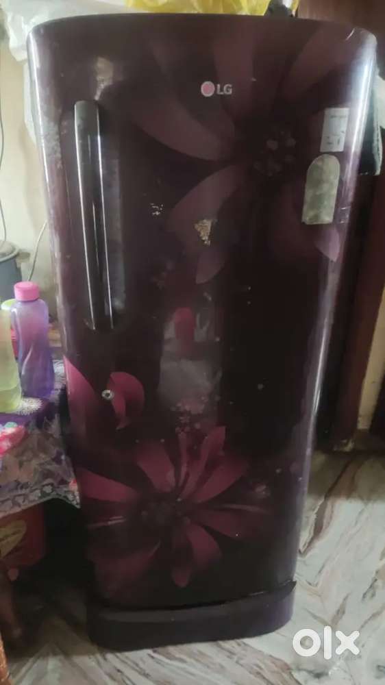 LG long door fridge