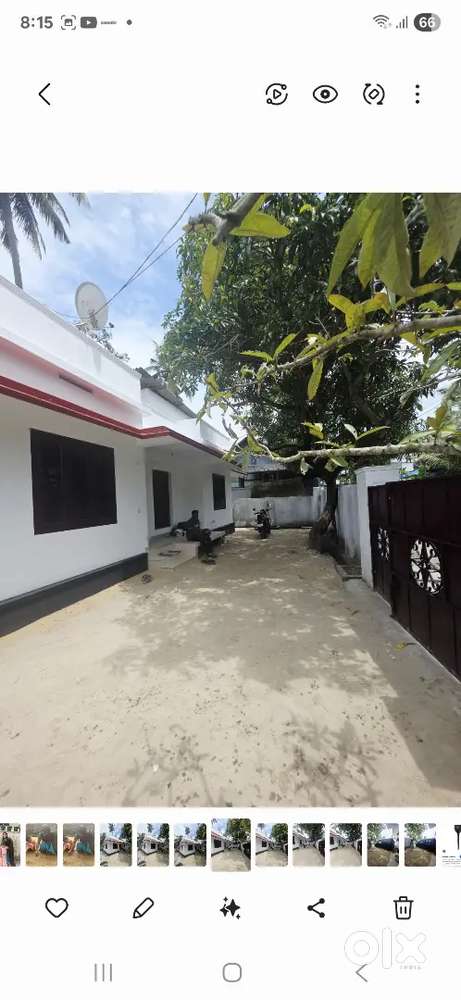 Newly Renovated independent house for rent
