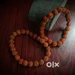 5 Mukhi Rudraksh Bracelet (small size 8mm)