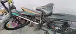 Beast multi speed