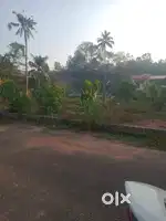 5,6 and 7 cent land for sale near Manjadi LP School, Thachottukavu