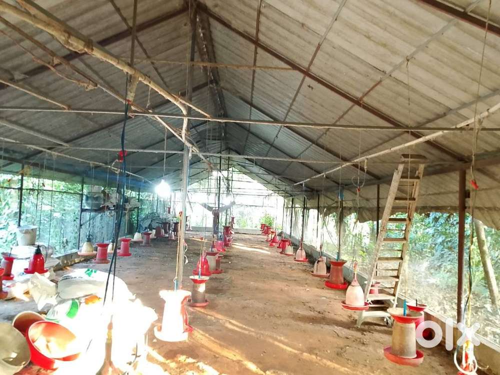 Poultry farm for sale