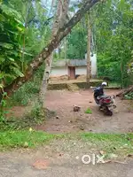 Land for sale near pathiyoor.