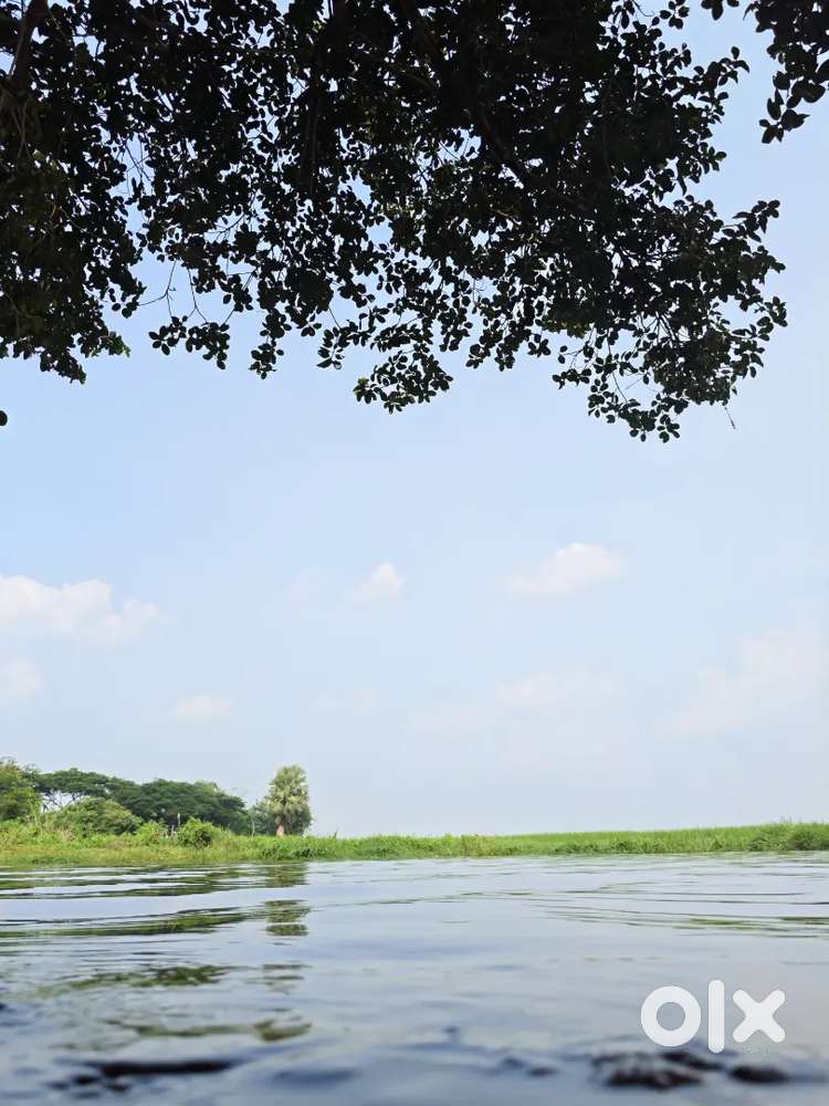 Land available in pipili nh side towards puri