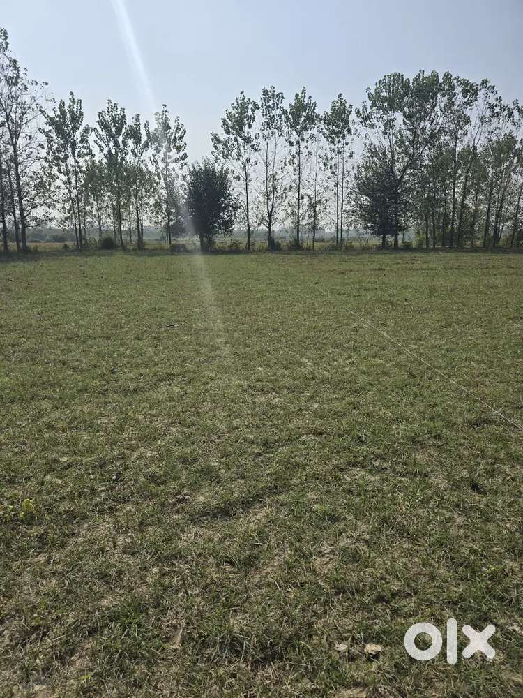 2 Bigha Land On SALE!!