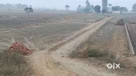 Agriculture land for sale @ Very Cheap rate.