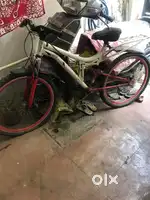 Bicycle with gears