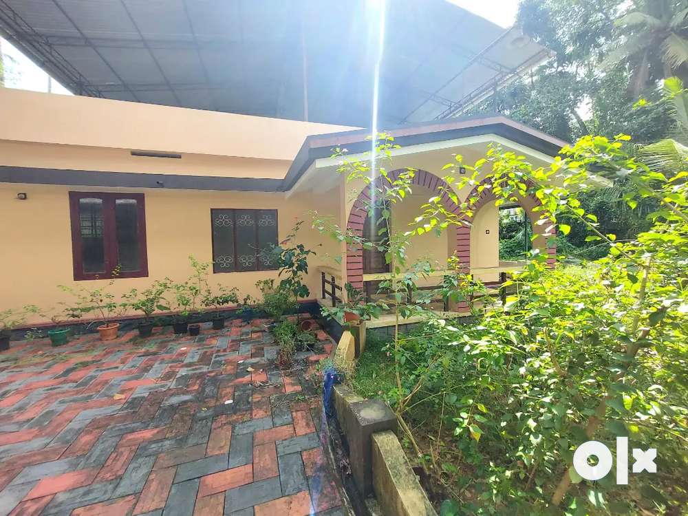 3 bed  independent house for rent in aluva near alangad main road
