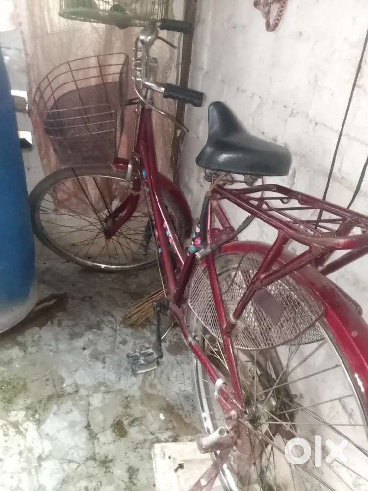 Meri cycle below Hai all ladies cycle hai