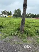 New plot of MDA sector 12