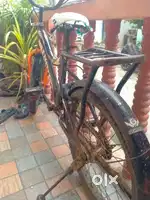 Children cycle