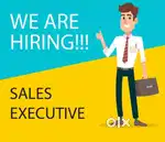 Sales Executive