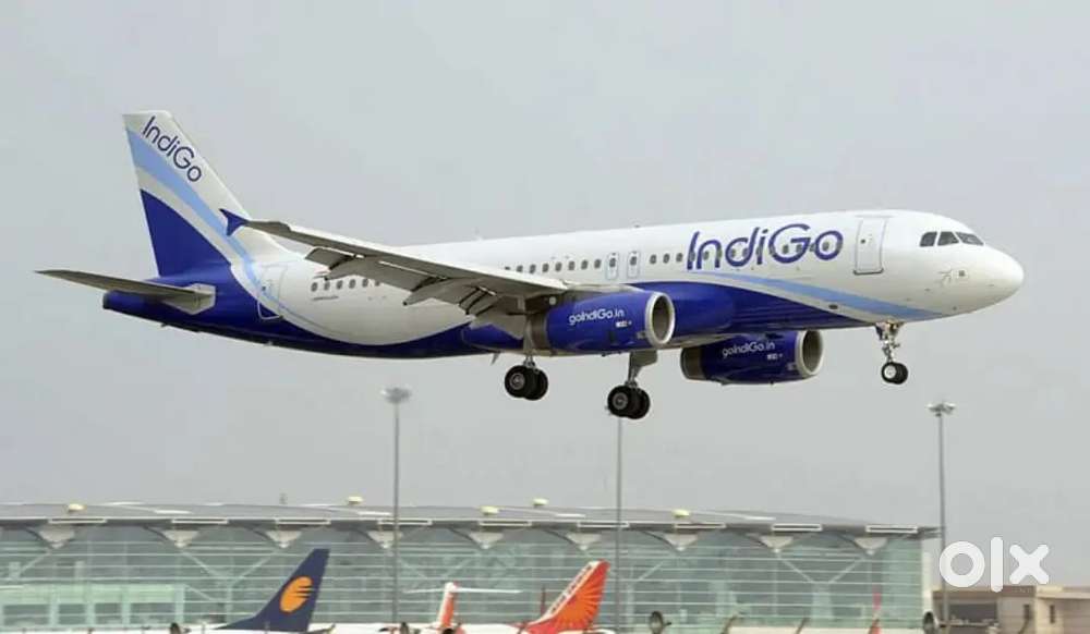 Cabin Crew/ Airport Ground Staff Jobs in Indigo limited vecancy Requi
