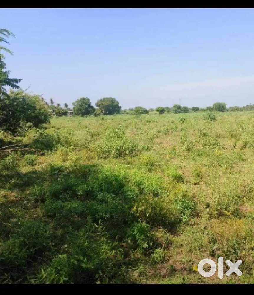 Land for sale