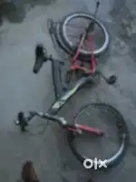 Best cycles