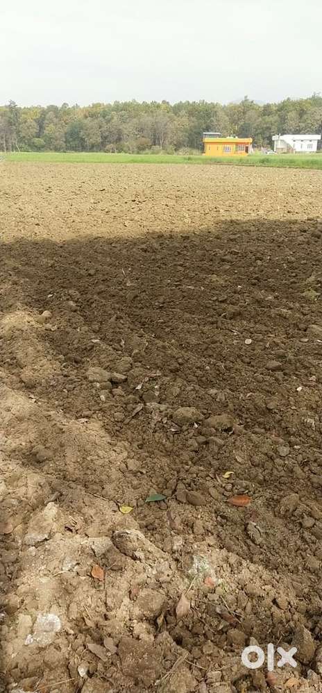 Affordable Plot for sale in Jollygrant, Dehradun