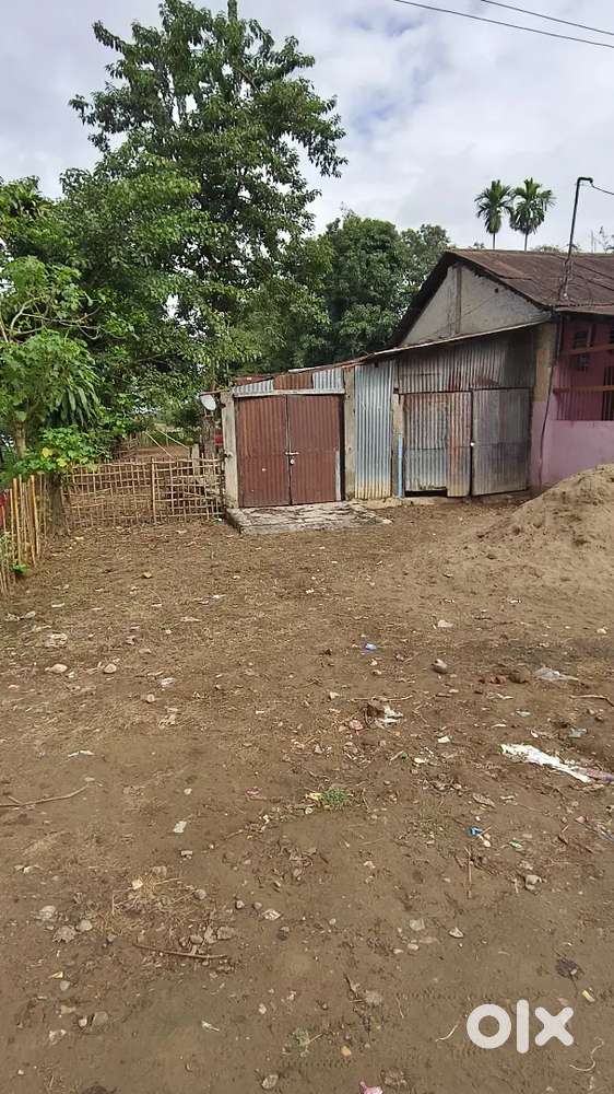 Ground field type , full space