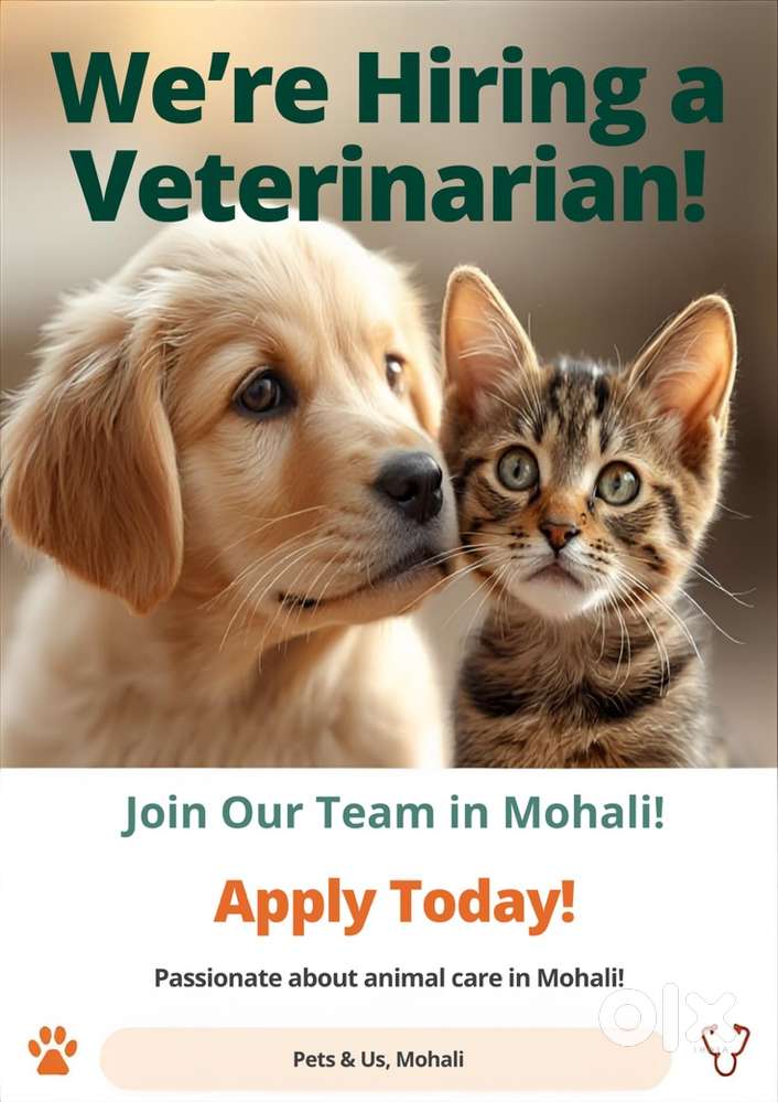 Full time Job for Veterinary doctor