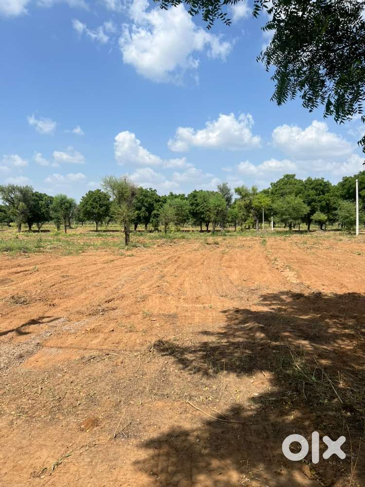 200 Guz plot for sale Near mehla ajmer road 90A approved 17 lacs main