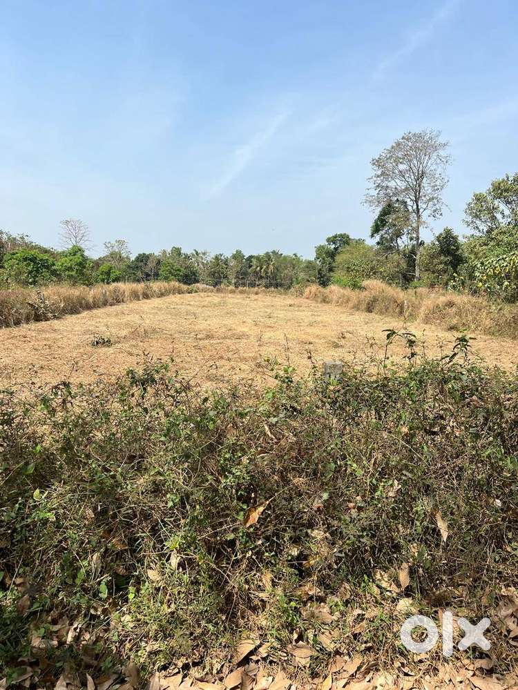 12 Cents Residential Plot for Sale – Vyttila Hub to Eroor Road