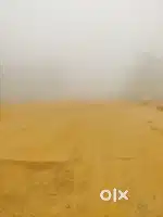 ৩ গন্ডা জায়গা বিক্রি করা হবে শালবাগান BSF পারা