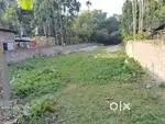 Major ati huj kohua toli 3.5 kotha mati