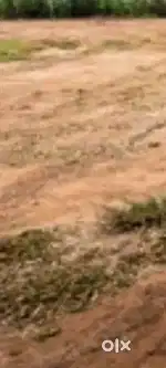 Land for sales